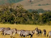 Quoi plus discret qu’un drone pour filmer animaux sauvages Kenya