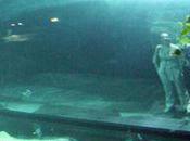 Visite Némos Dorys l'Aquarium Paris