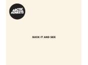 Lundi juin Arctic Monkeys Reckless Serenade