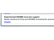 Ubuntu 11.04 Chrome complètement intégré Unity