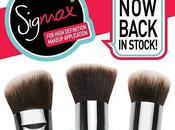 Sigma Face synthetic brush thruth!