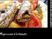 Maquereaux tomate