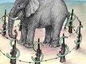 Sauvez village, tuez éléphant