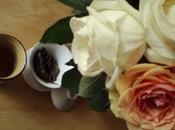 Profiter d'une dernière liqueur rincer palais émotions