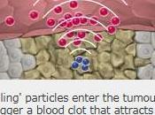 CANCER: nanoparticules font coup double tumeurs Nature Materials