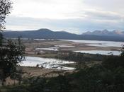 East Coast TASMANIA, Anjanita MAHADOO (Mauritius).