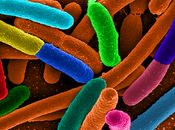 l'impact steak haché l'effet boomerang concombre