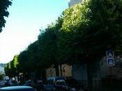 Alors, fait-il arbres, Monsieur Maire Saint-Gervais