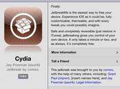 Jailbreak iPad disponible version beta