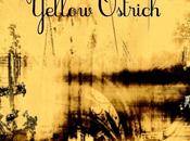 Yellow Ostrich Hahahaohhoho