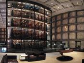 Bibliothèque merveilles