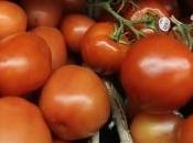 vente fruits legumes d'ete hors magasins autorisee...