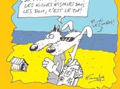 Outre-mer, niches fiscales sont faites pour chiens