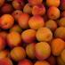L'abricot, fruit d'été pour bonne santé