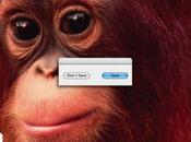 jour Sauver Effacer [WWF]