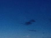 Bicycles: Window Free nouveau signé...