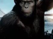 Planète Singes...les origines