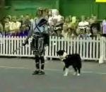 Combat gladiateurs entre chien dresseur