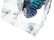 [Sortie] Possession Elana Johnson