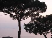 Quel soit type vacances, mange