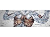 Guide mouvements musculation
