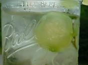 Infusee Concombre Basilic