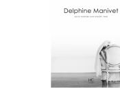 belle histoire Delphine Manivet, maintenant livre