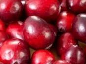 Infections urinaires cranberries réellement efficaces?