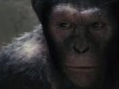 Making-Of Planète Singes: Origines