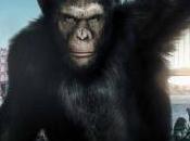 Critique cinéma] planète singes origines