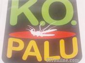 Lutte contre paludisme: projet K.O. Palu officiellement lancé