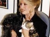 Brigitte Bardot stérilisation chats dans municipalités