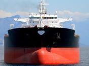 Biodiversité activités humaines perturbent espèces marines