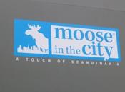 Moose city