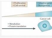 CANCER: modèle cible métabolisme cellules Nature