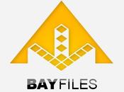 Bayfiles, service stockage fichiers lancé Pirate