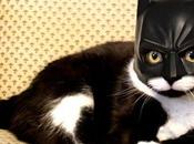 Serait-ce fils Batman Catwoman
