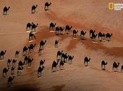 Ombre lumière, voyage dans désert