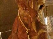 Ethical Fashion Show