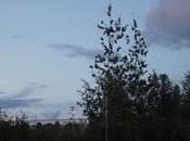 pleut comme pleure...