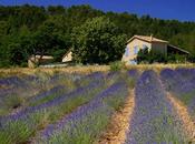 Partir hors saison Provence