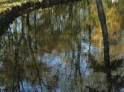 charmes d'une promenade bord Deûle.