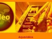 Aquarelles vidéo Charles Reid