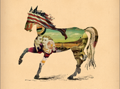 Stephen Kellogg Sixers Gift Horse