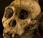 s’appelle Sediba australopithèque serait notre plus vieil ancêtre