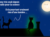 chat fluo c'est grave docteur