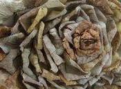 Fleur d'automne, Christine Beer