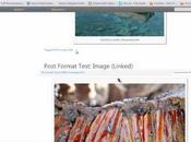 Créer site avec WordPress – Thème,Widgets,Menus autres