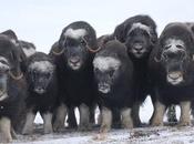 Photographes Alsace 2011