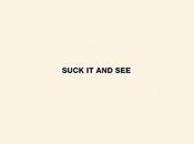 Arctic Monkeys dévoilent leur nouveau clip, Suck
